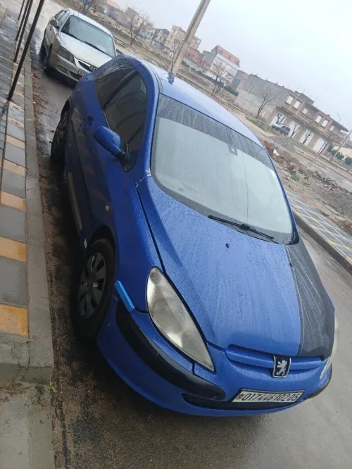Peugeot 307 2002 307