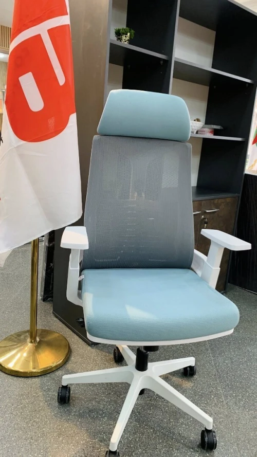 Chaise ergonomique 