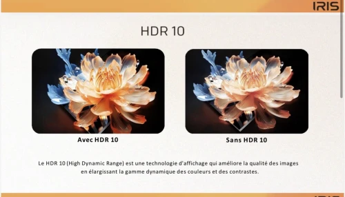 TV IRIS 55" G5020 GOOGLE TV 4K UHD SMART ANDROID 14 55 POUCES