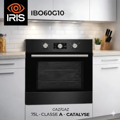 FOUR IRIS ENCASTRABLE GAZ/GAZ G10B VERRE NOIR TROMPE CATALYSE 75L