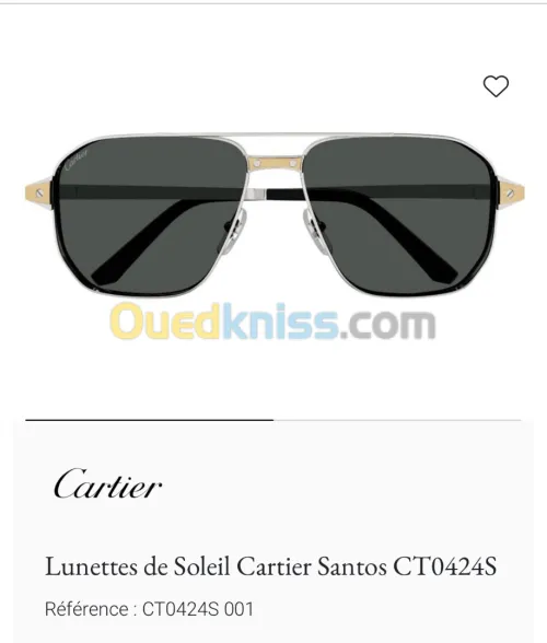  Cartier Santos 