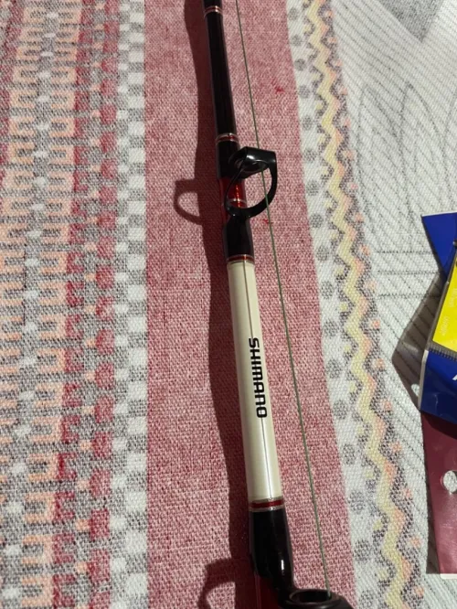 Moulinet Électrique Daiwa Tanacom 1000