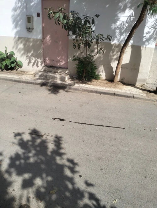 Vente Appartement F2 Blida Blida