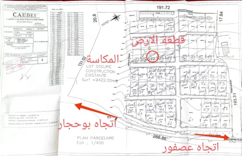 Vente Terrain El Tarf Asfour