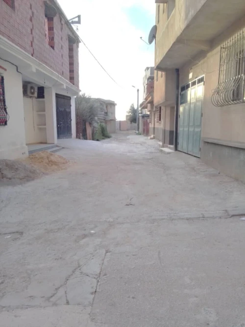 Vente Terrain Alger Reghaia
