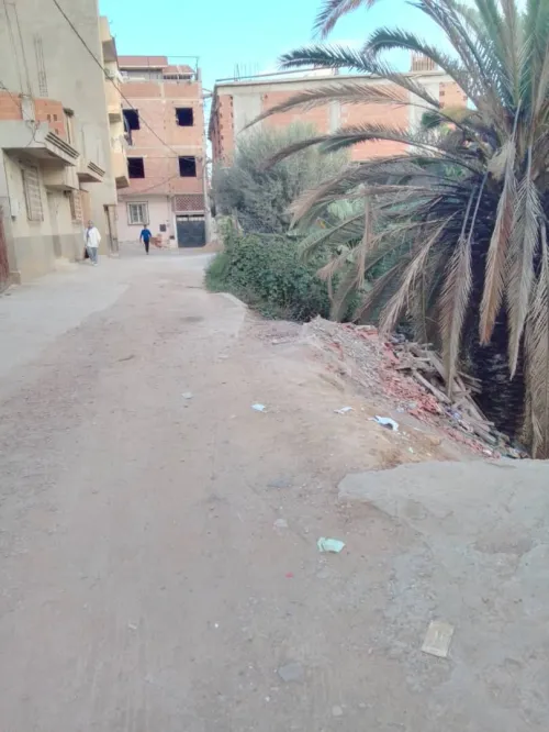 Vente Terrain Alger Reghaia