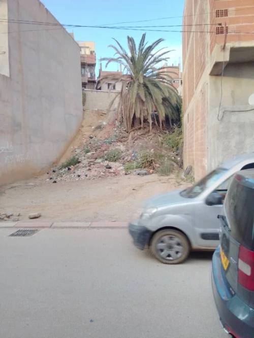 Vente Terrain Alger Reghaia