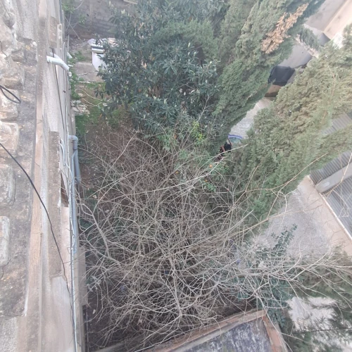 Vente Villa Alger Saoula