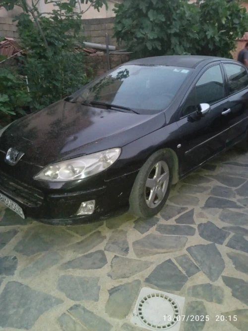 Peugeot 407 2005 407
