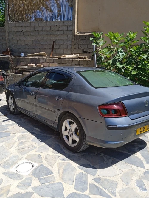 Peugeot 407 2005 407