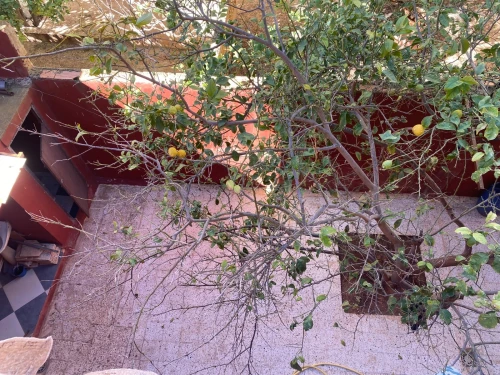 Vente Villa Aïn Témouchent El amria