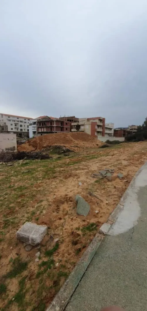 Vente Terrain Skikda Filfla