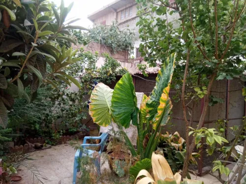Vente Villa Oran Es senia