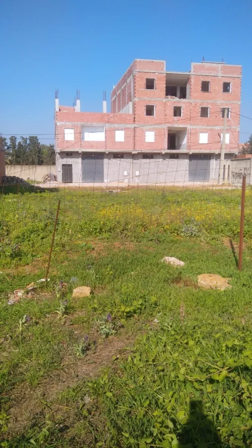 Vente Terrain Boumerdès Hammedi