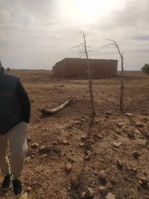 Vente Terrain Agricole Djelfa Hassi fedoul