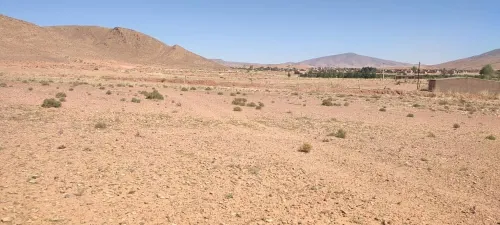 Vente Terrain Naâma Sfissifa