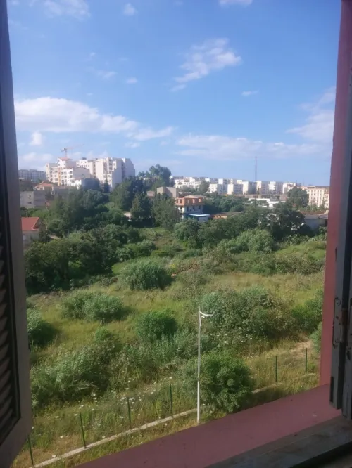 Vente Appartement F3 Alger Draria