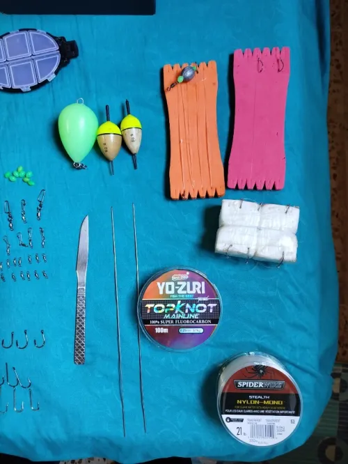 Canne à pêche et accessoires
