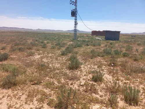 Vente Terrain Tiaret Ksar chellala