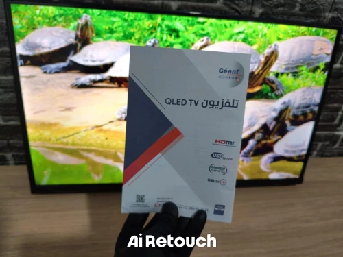 Téléviseur géant 32 Pouces