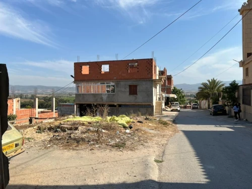 Vente Terrain Tipaza Hadjout