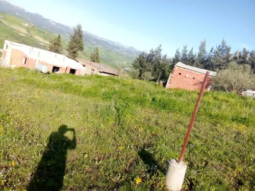 Vente Terrain Tizi Ouzou Agouni gueghrane