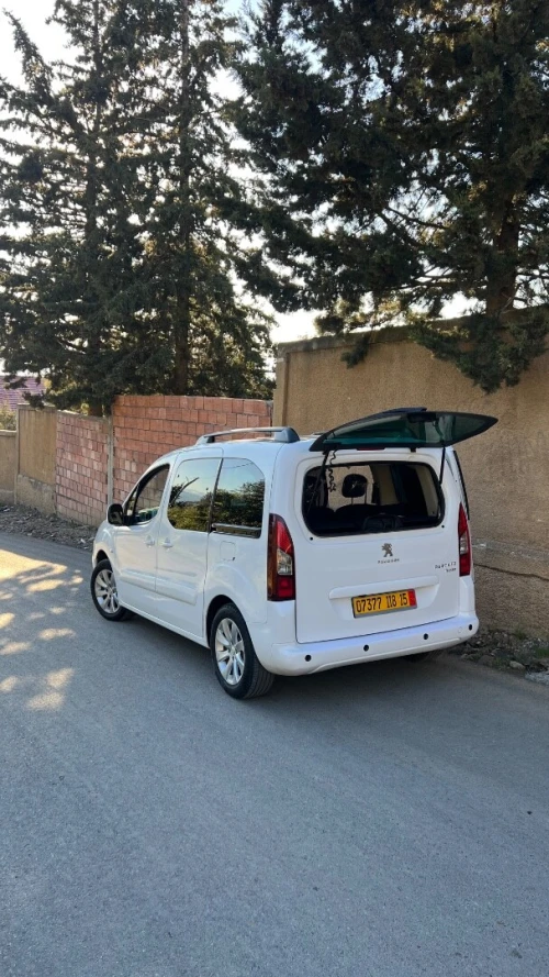 Peugeot Partner 2018 Teepe