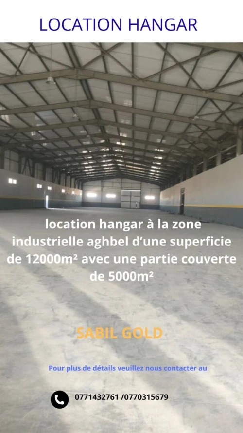 Location Hangar - Usine Oran Oued tlelat