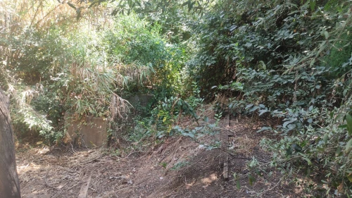 Vente Terrain Boumerdès Thenia