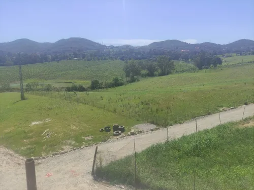 Vente Terrain Boumerdès Tidjelabine
