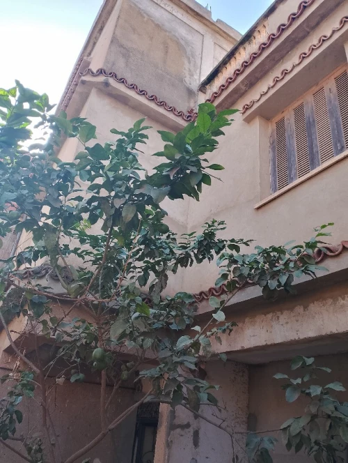 Vente Villa Tipaza Kolea