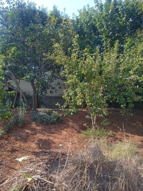 Vente Villa Tipaza Fouka