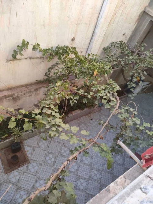 Vente Villa Tipaza Kolea