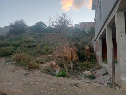 Vente Terrain Tipaza Cherchell
