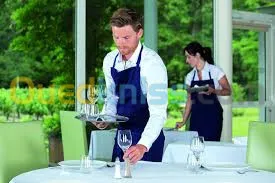Serveur en hôtellerie & Restauration 