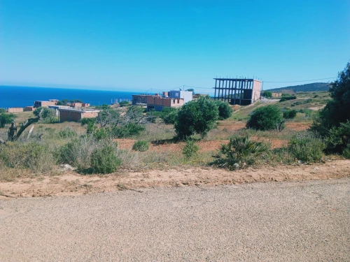 Vente Terrain Tlemcen Honaine