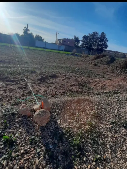 Vente Terrain Chlef Chettia