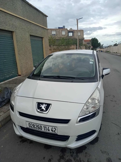 Peugeot 5008 2014 Access