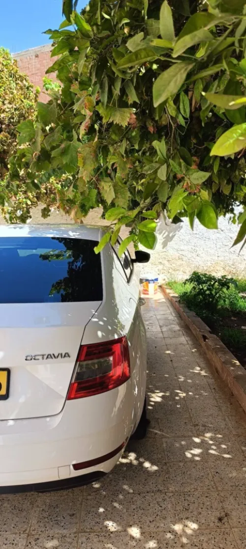 Skoda Octavia 2017 Octavia