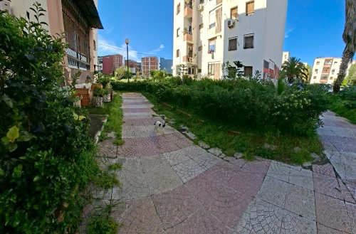 Location vacances Appartement F4 Alger Rouiba