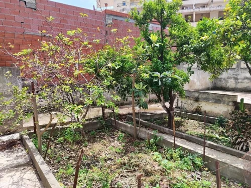 Vente Terrain Béjaïa Bejaia