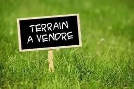 Cherche achat Terrain Alger Dely brahim