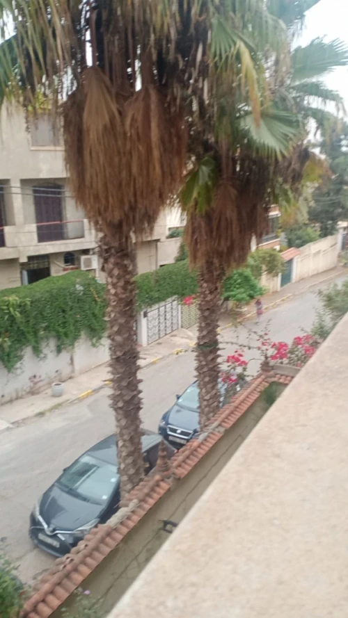 Location Niveau De Villa F05 Alger Kouba