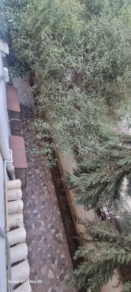 Location Villa Alger Kouba