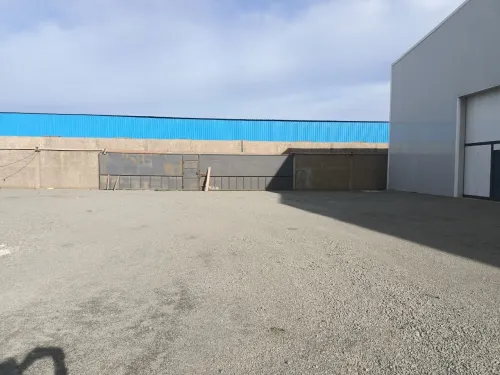Location Hangar Alger Les eucalyptus