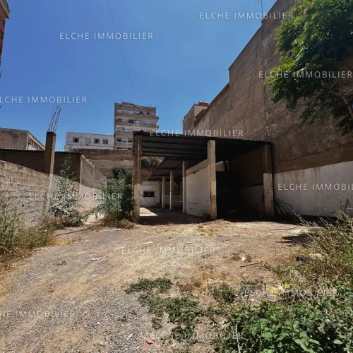 Vente Terrain Oran Oran