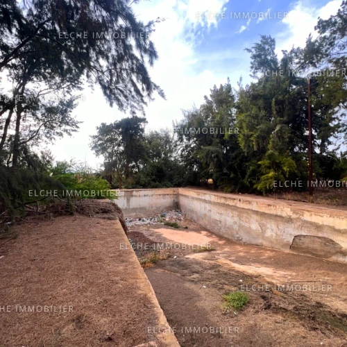 Vente Terrain Oran Oran