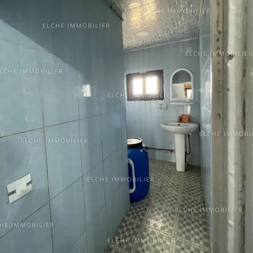 Vente Appartement Oran Oran