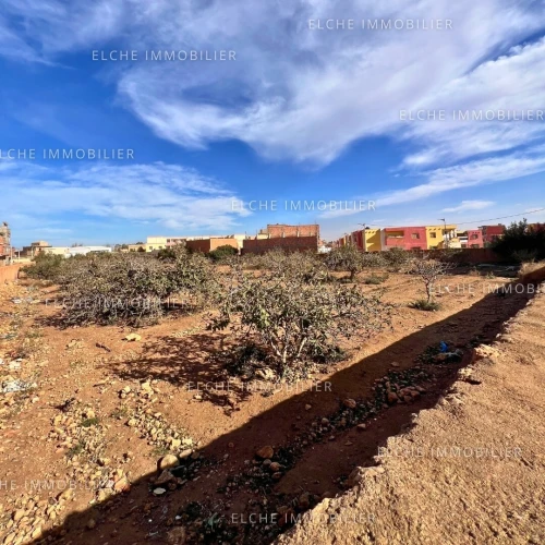 Vente Terrain Oran Bethioua