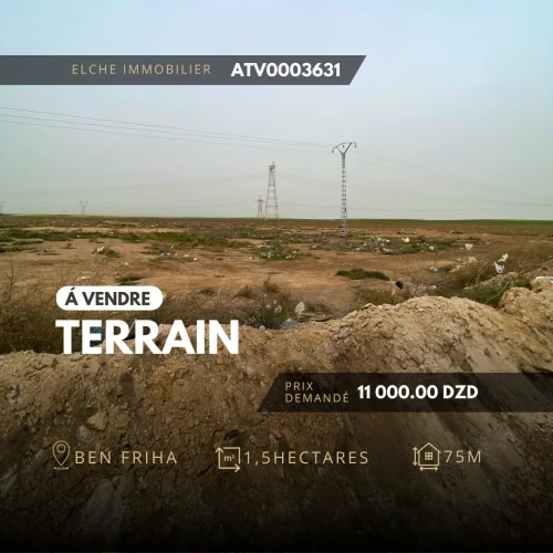 Vente Terrain Agricole Oran Gdyel